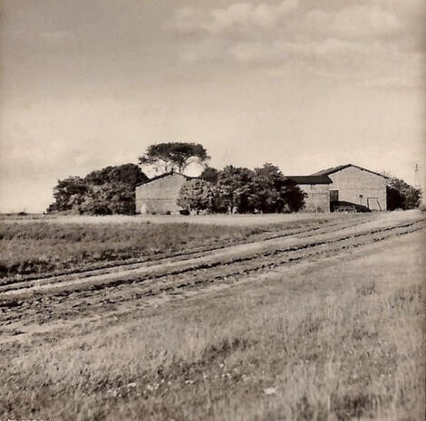 1952 Hof Kracht von Juliusruh aus gesehen