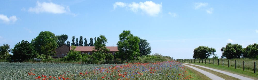 Ansicht Hof Kracht